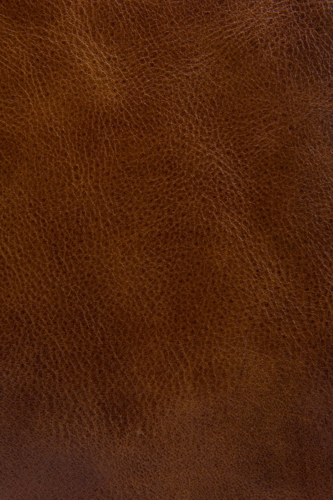Frye Melissa Cognac Zip Crossbody / Cognac