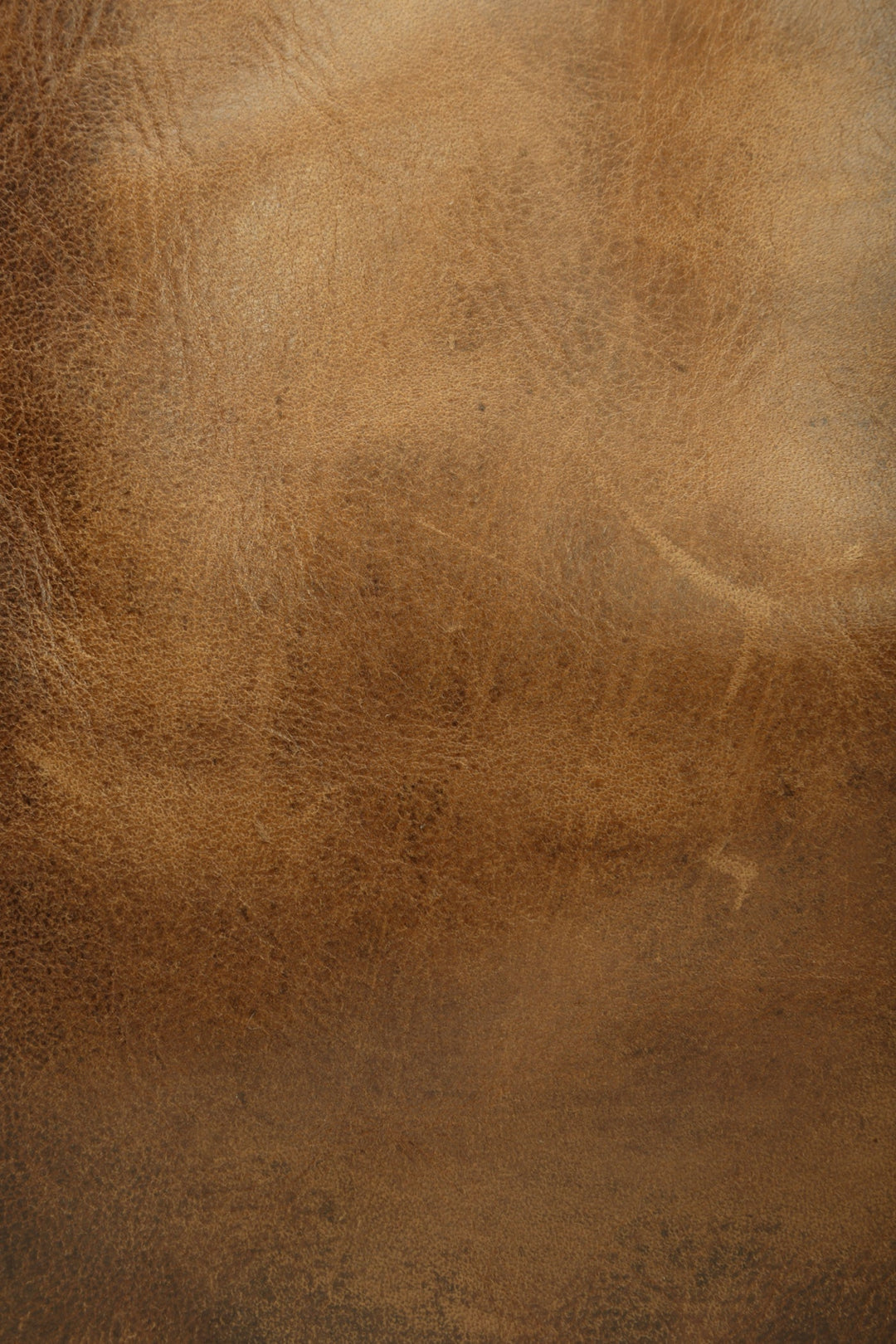 Frye Melissa Cognac Tote / Cognac