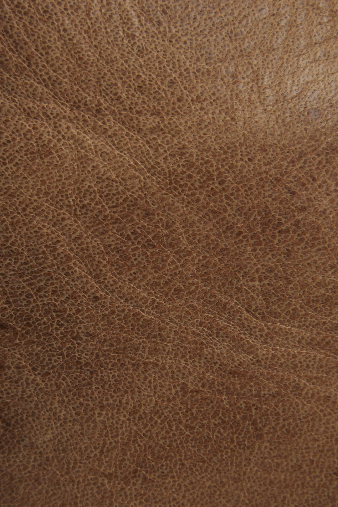 Frye Melissa Beige Tote / Beige