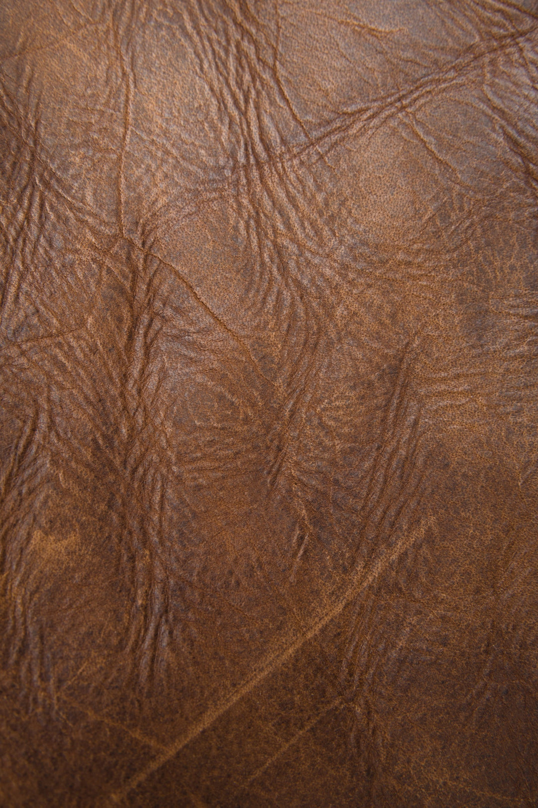 Frye Melissa Dark Brown Satchel / Dark Brown