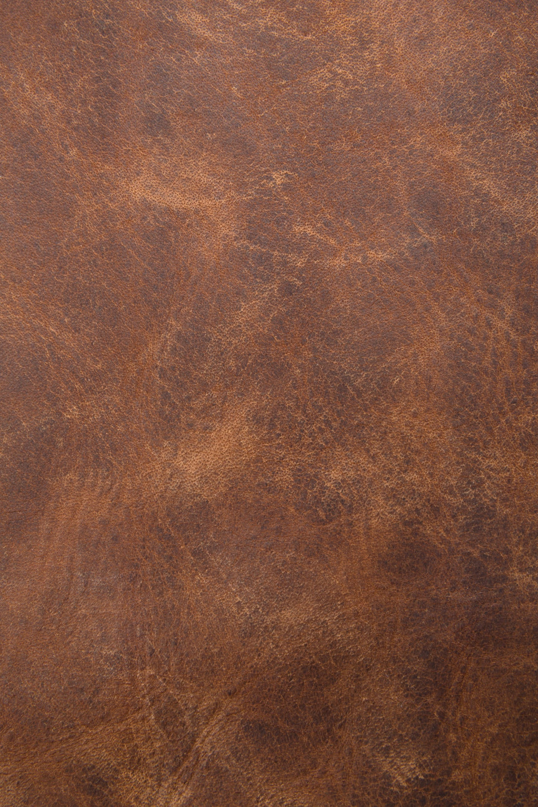 Frye Melissa Cognac Hobo / Cognac