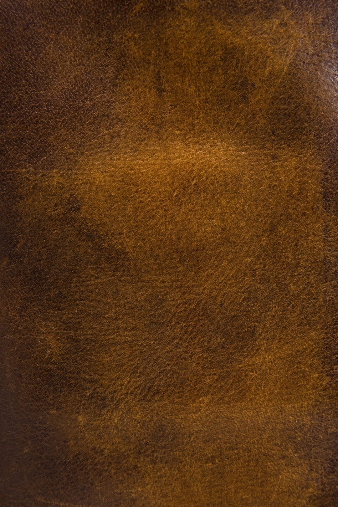 Frye Melissa Dark Brown Wristlet / Dark Brown