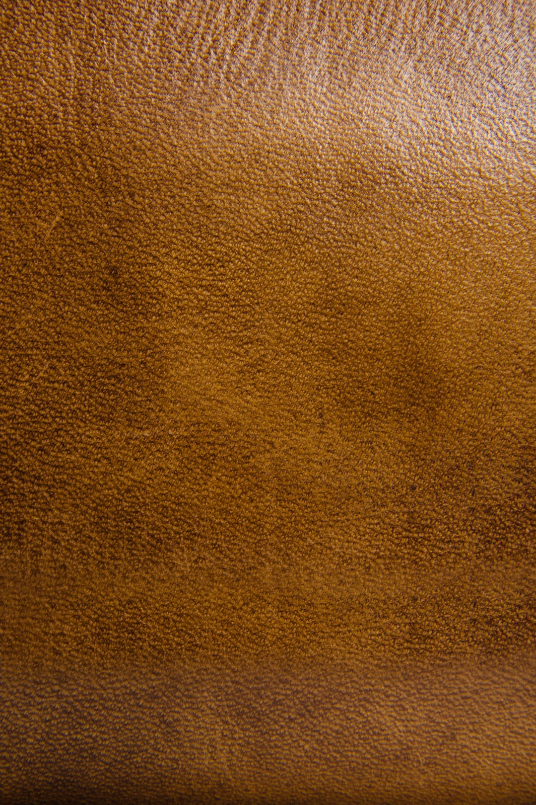Frye Melissa Beige Zip Wallet / Beige