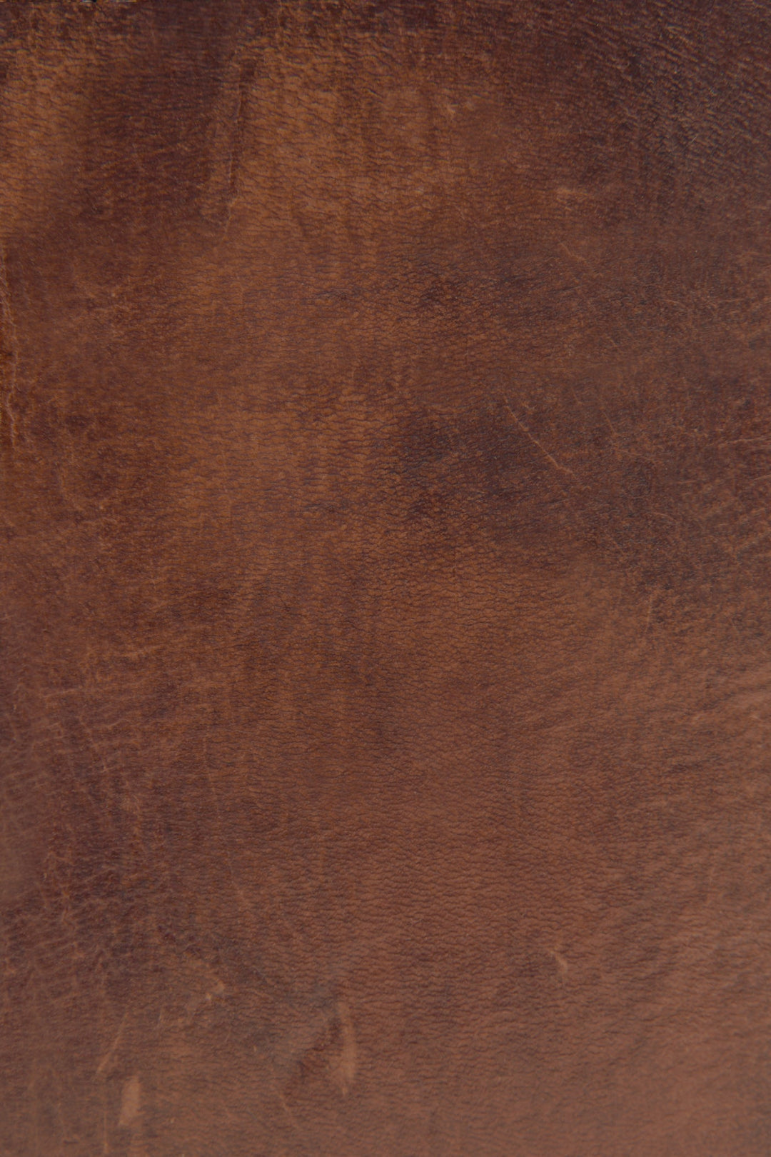 Frye Melissa Cognac Zip Wallet / Cognac