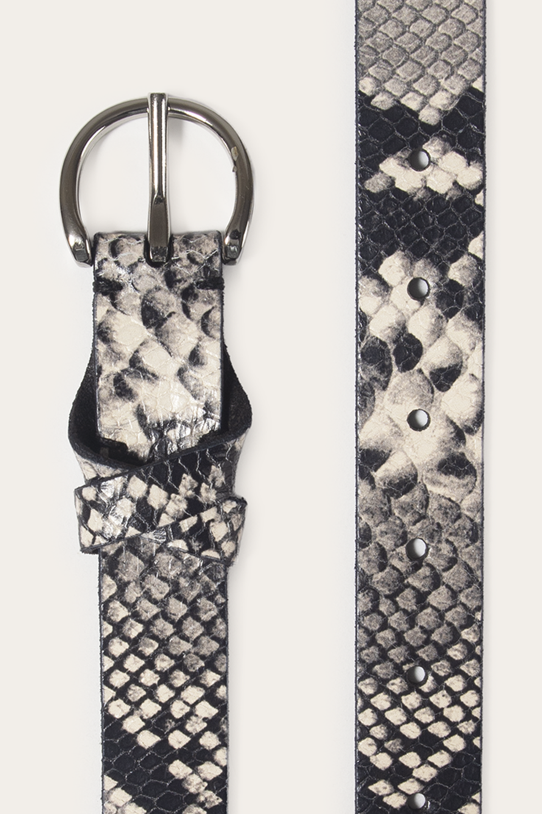 Frye Roccia 25mm Snake Belt / Roccia