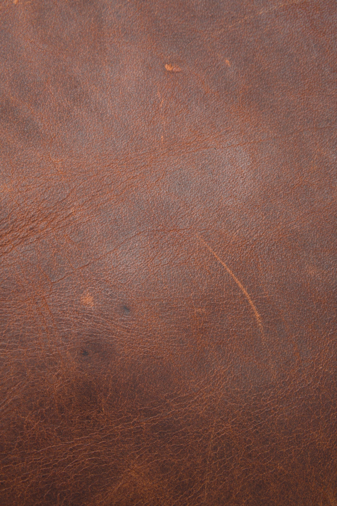 Frye Logan Cognac Backpack / Cognac