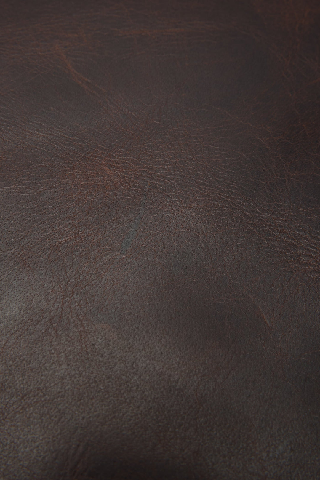 Frye Logan Dark Brown Backpack / Dark Brown