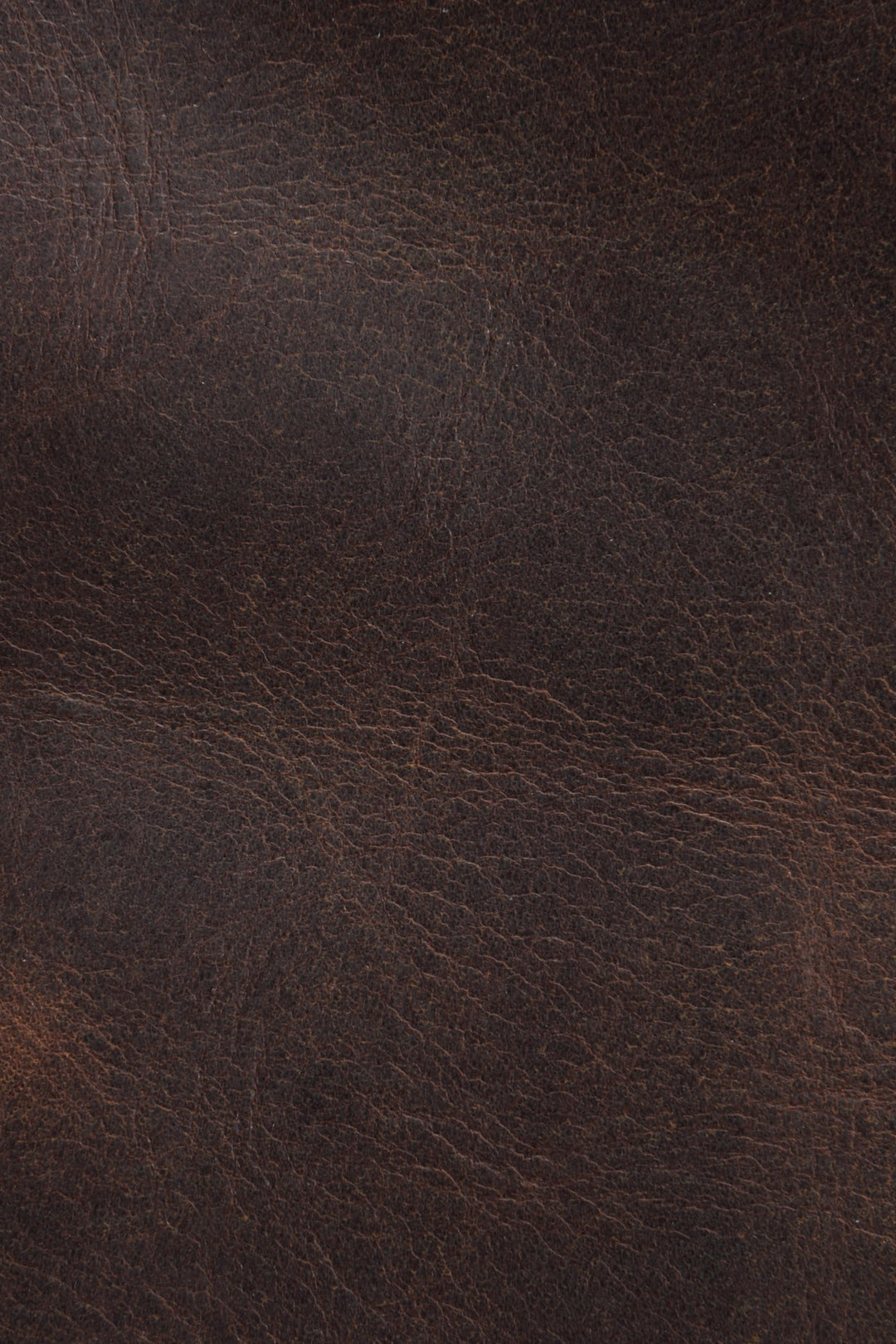 Frye Logan Dark Brown Overnight / Dark Brown