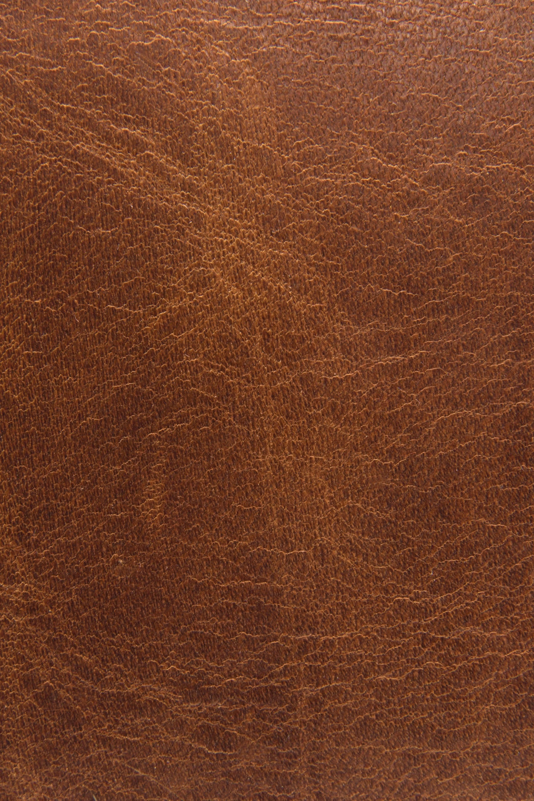 Frye Logan Cognac Top Handle / Cognac