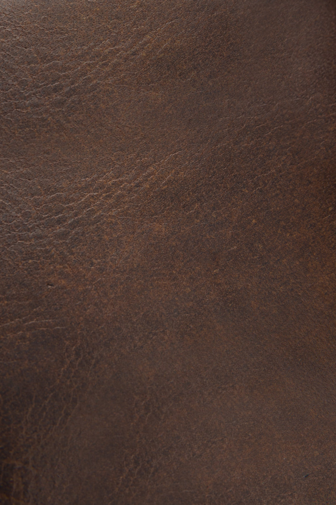Frye Logan Dark Brown Billfold / Dark Brown