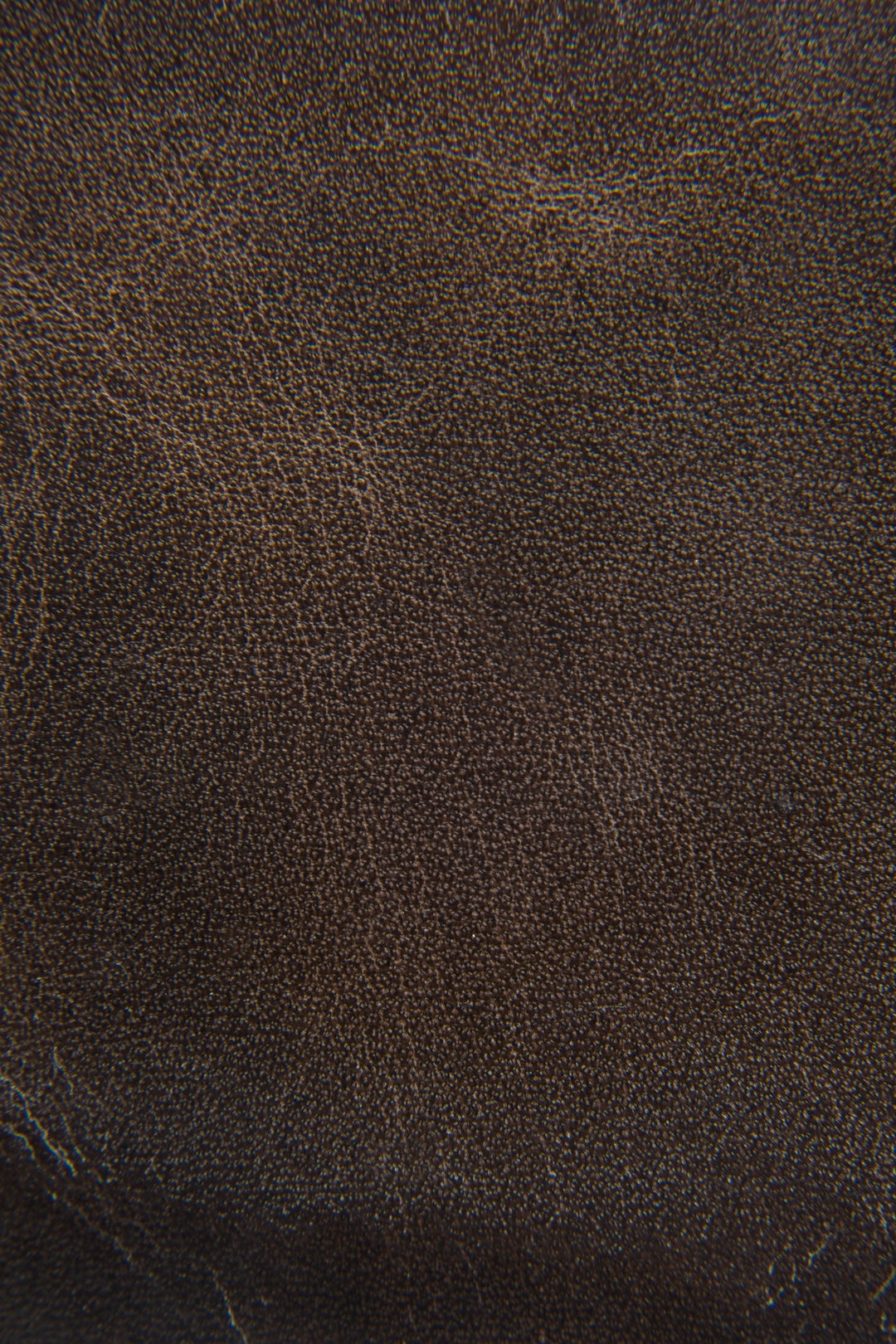 Frye Logan Slate Billfold / Slate